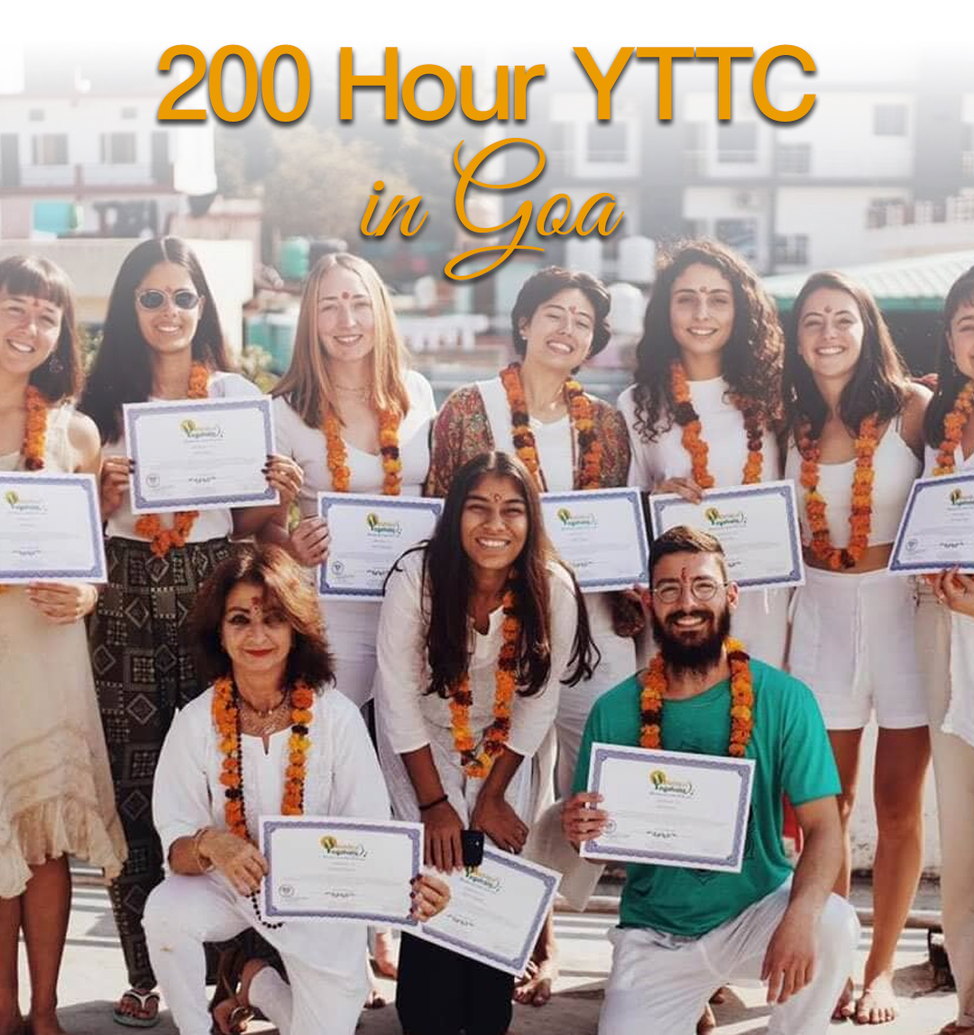 Instagram Reel: 200 Hour Yoga Teacher Training in Goa